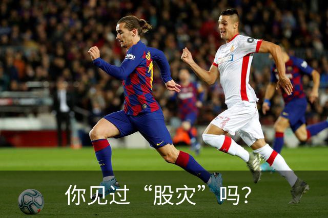 你见过“股灾”吗？