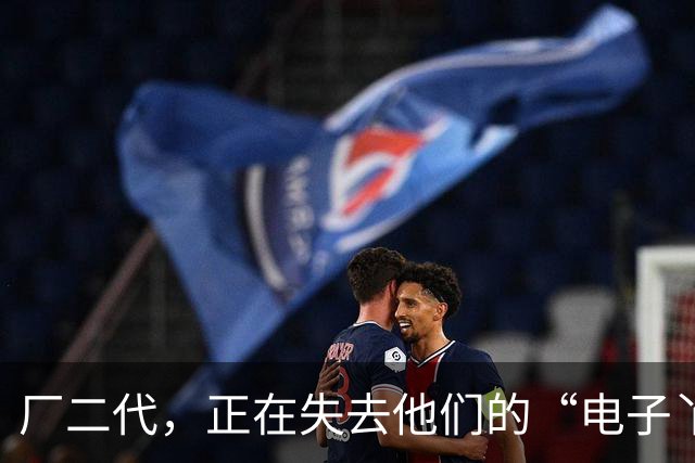 厂二代，正在失去他们的“电子丫鬟”