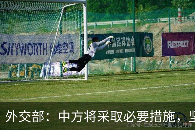 外交部：中方将采取必要措施，坚决维护中国企业合法权益