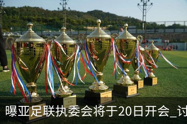 曝亚足联执委会将于20日开会 讨论亚洲杯延期事宜