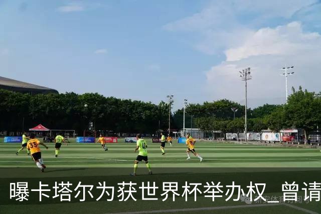 曝卡塔尔为获世界杯举办权 曾请前CIA特工监听FIFA