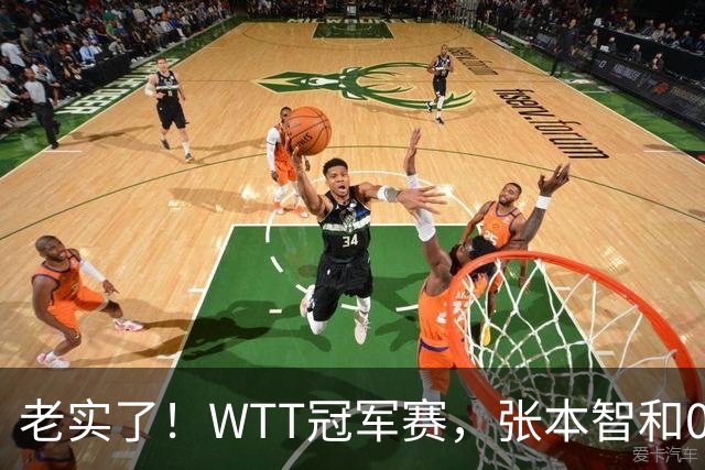 老实了！WTT冠军赛，张本智和0-3一轮游，被剃光头早早回家